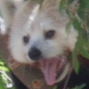 Meet your Posher, Nathaniel